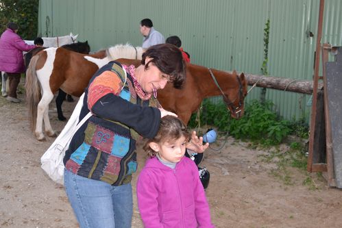 PONEY 0016