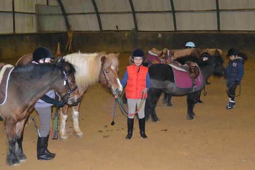 PONEY-1009.JPG