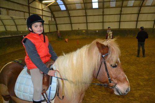 PONEY-1740.JPG