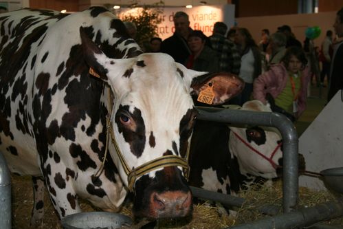 Salon-de-l-agri-2013--101-.JPG