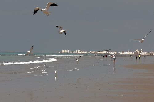 Cadiz, a la orilla del mar
