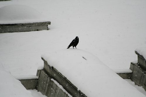 again-1155.JPG
