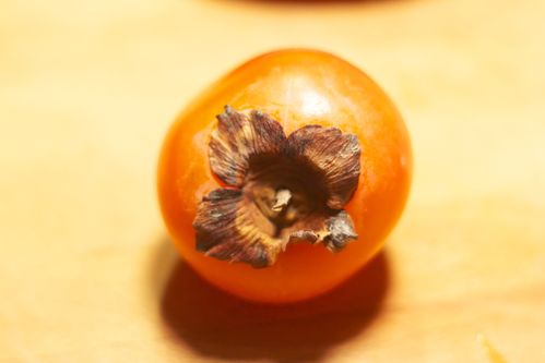 kaki 2