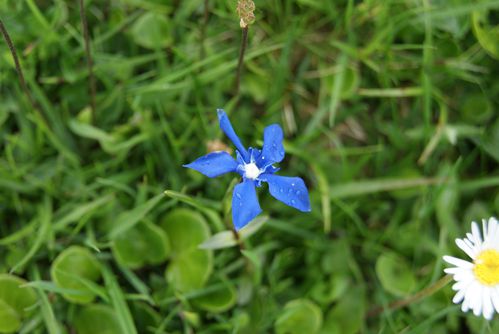 DSC00827.JPG