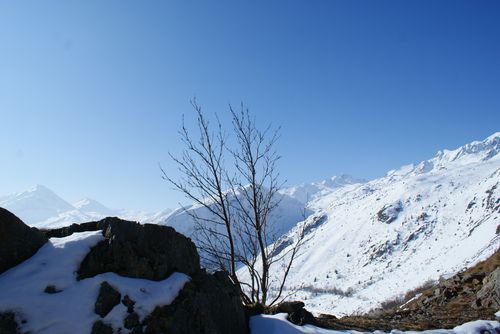 DSC03762.JPG