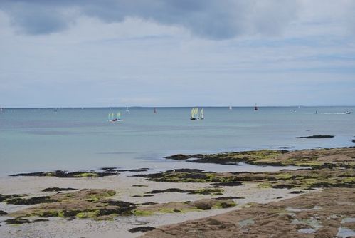 DSC_0240.jpg