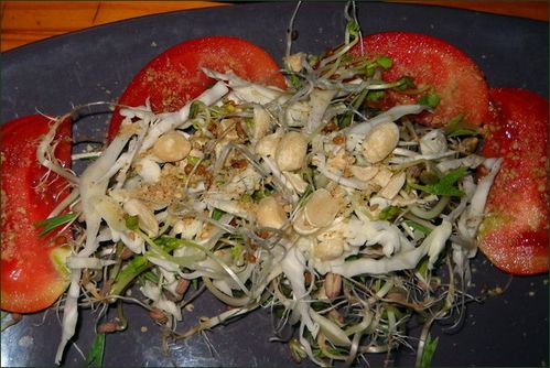 vegecarib248