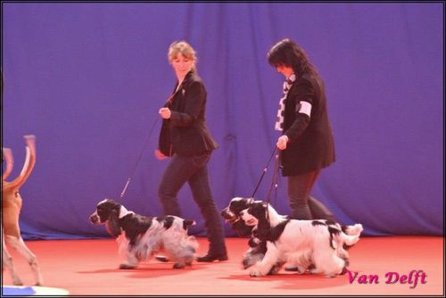 Image00001-copie-1.jpg