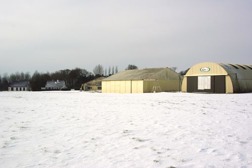 IMGP0474.JPG