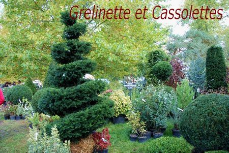 Octobre-2010-0048T.jpg