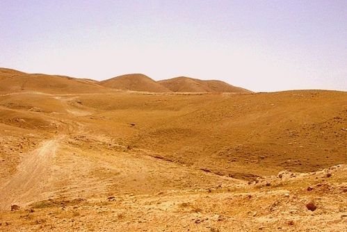 desert.jpg