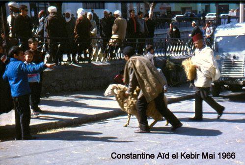 Constantine Aïd 3