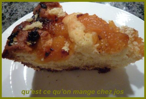 gateau-a-la-ricota-et-abricot-de-jos.jpg
