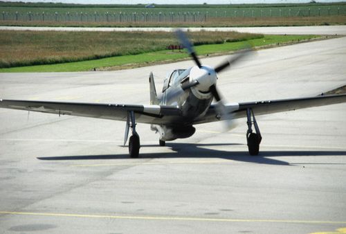ding-hao-3.jpg