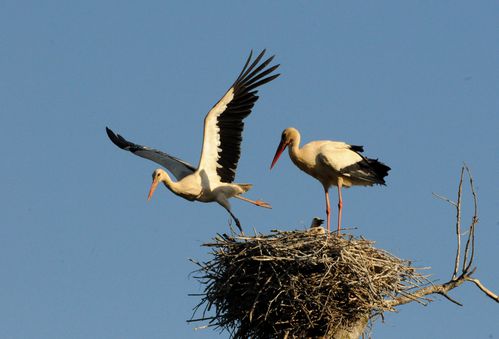 F12_1278.JPG