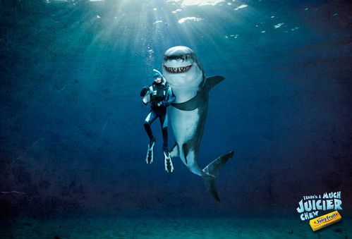 juicy-fruit-requin.jpg