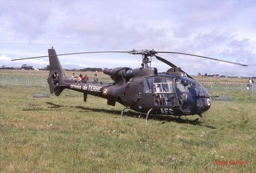 Gazelle 3 copie