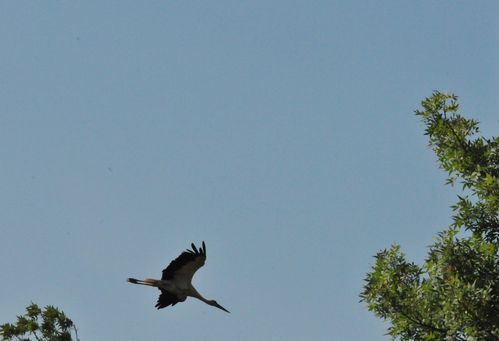 F11_2141.JPG