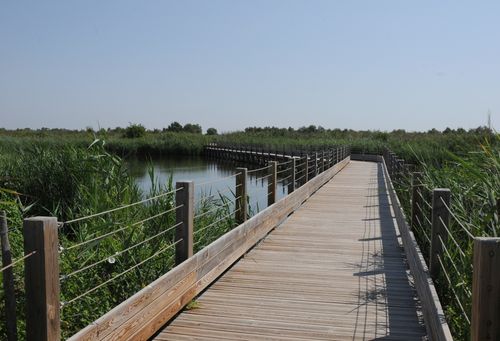 F12_3562.JPG