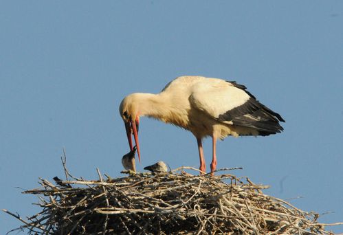 F12_1292.JPG