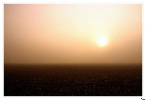 4040094189_5f2a3479a9.jpg