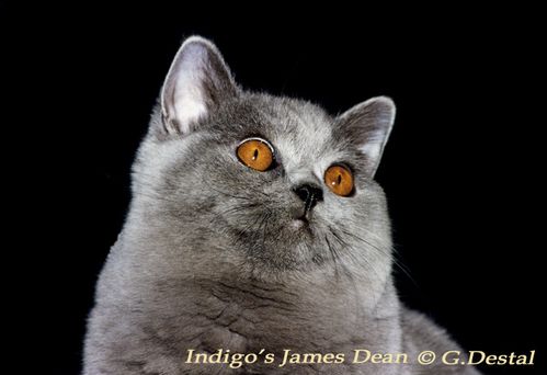 James.jpg