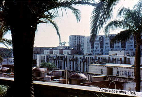 7aAlgerdecembre66