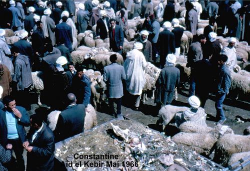 Constantine Aid 1