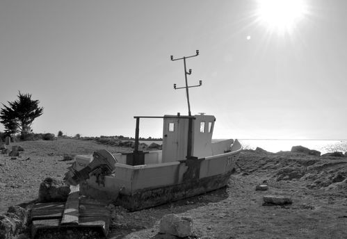 Port des Barques 0015