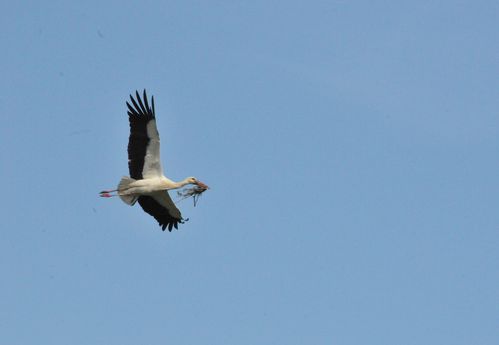 F11_1263.JPG