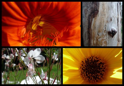 septembre-2010.jpg