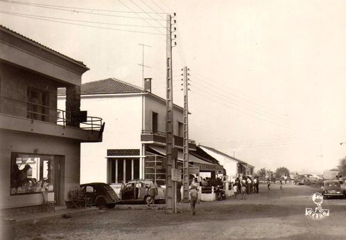 cp-02-0.jpg