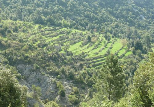 2013-05-09-Cretes du Ferion-016