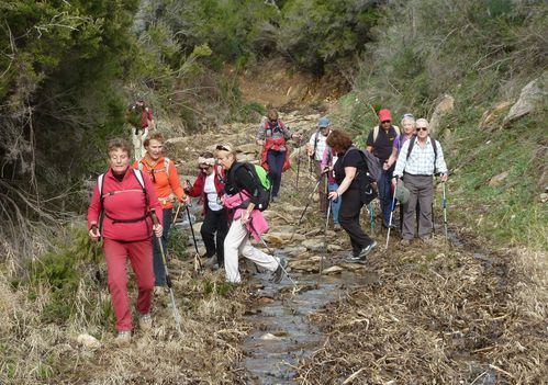 2013-01-31 Les Hauts du Rayol-033