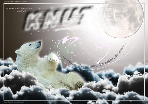 2012 03 19 Knut Loved
