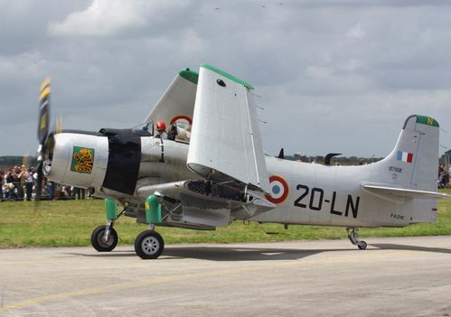 IMGP6638