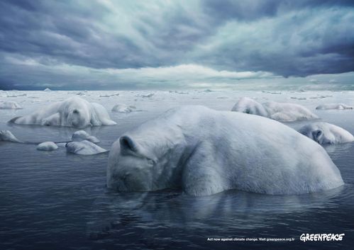 greenpeace-polar-bears-ours-iceberg.jpg