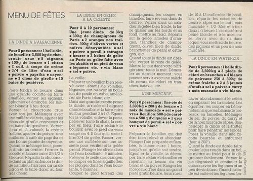 N°122-DES OIES ET DES DINDES-5