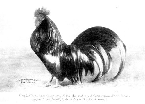 Pictave-1930