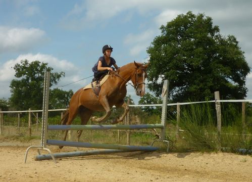 amazone Please saut d'obstacle vertical