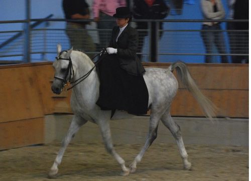 amazone-dorothee-baumann-pellny-sagitario.jpg