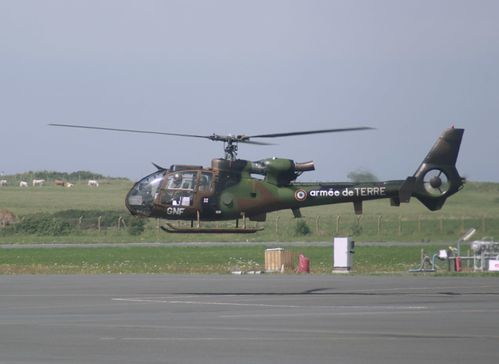 IMGP7795.JPG