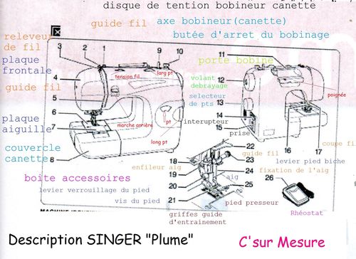 description-singer-plume.jpg