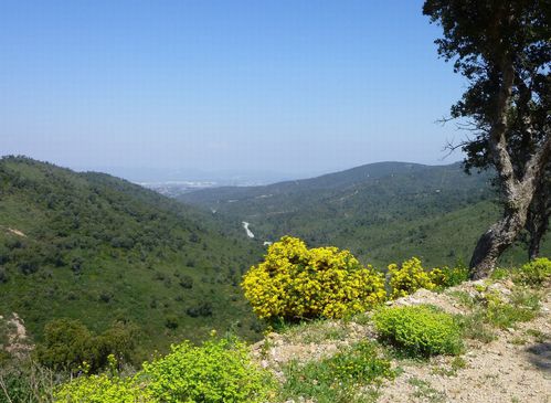 2013-04-18 Roquebrune - la Garonnette-030