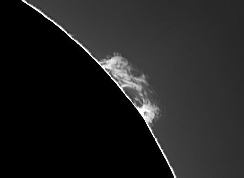 Sun20130818-protu