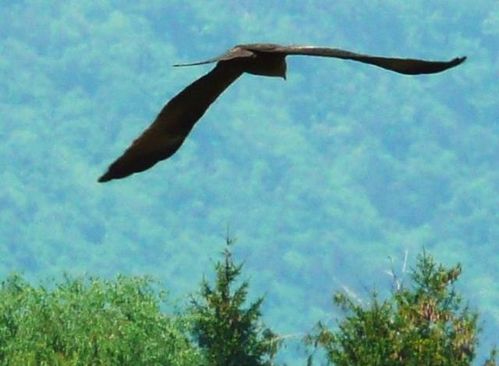 22 je prends mes ailes