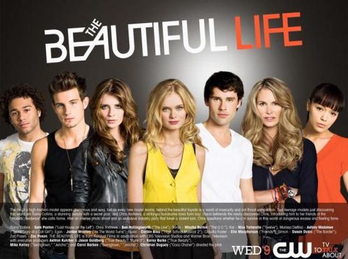 the-beautiful-life.jpg