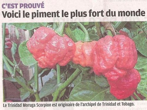 directmatin5