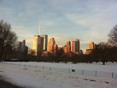 Picture 015