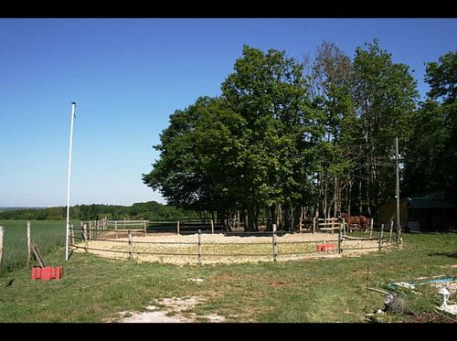 EXTERIEUR-AU-PRINTEMPS-3451